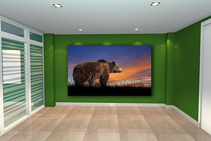 WEBP01 0008 ML 0007 22639496 bear on the background of sunset sky AOAY5561