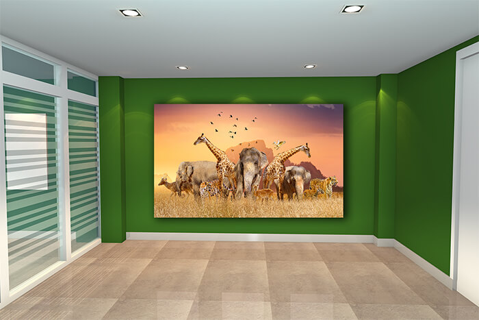 WEBP01 0021 ML 0030 45274826 world wildlife beasts were gathered in large herds AOAY5659