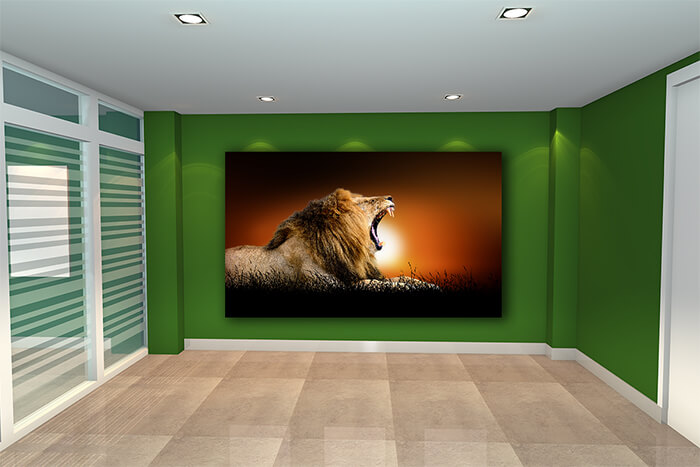 WEBP01 0028 ML 0023 22639448 lion on the background of sunset AOAY5547