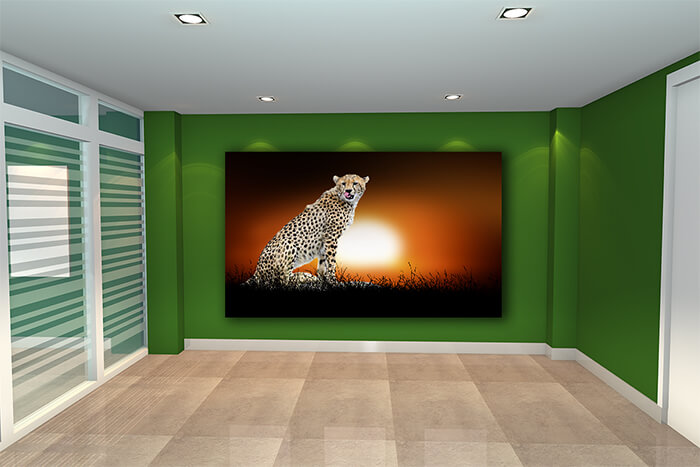 WEBP01 0029 ML 0022 22639452 cheetah on the background of sunset AOAY5548