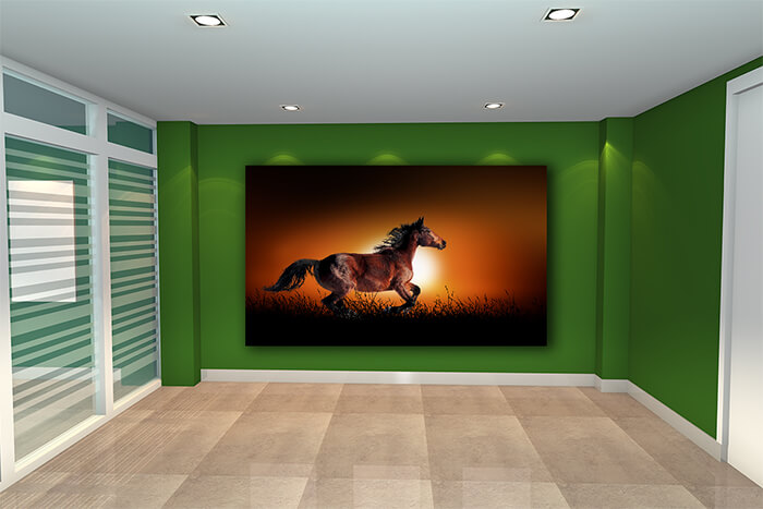 WEBP01 0032 ML 0019 22639468 horse on the background of sunset AOAY5551