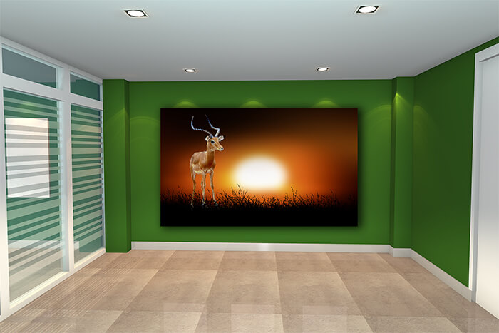 WEBP01 0033 ML 0018 22639470 impala on the background of sunset AOAY5552