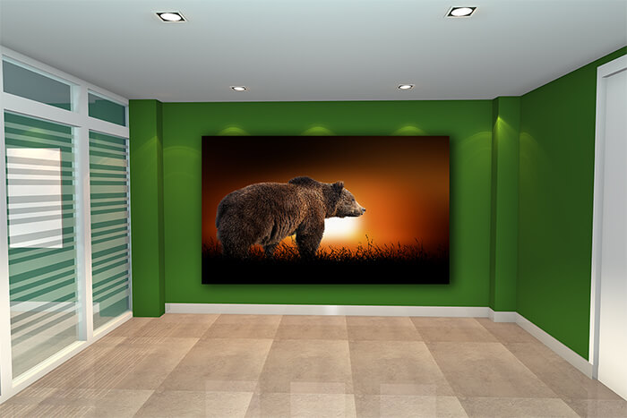 WEBP01 0034 ML 0017 22639474 bear on the background of sunset AOAY5553