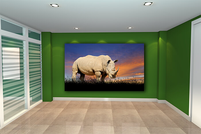 WEBP01 0035 ML 0016 22639478 The Rhino on the background of sunset sky AOAY5554