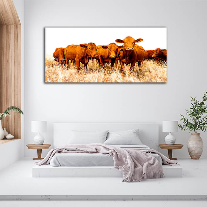 WEB002 0002 ML 0035 39174928 free range cattle on rural farm AOAY8166