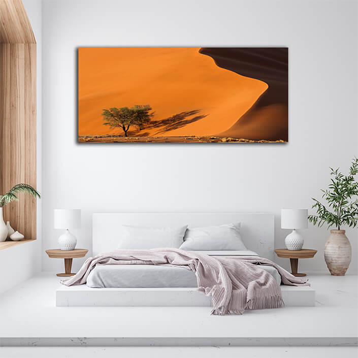 WEB002 0003 ML 0034 39178062 sand dune and trees namib desert AOAY4730