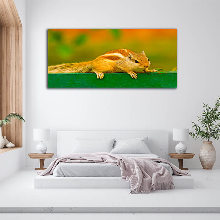 WEB002 0014 ML 0023 45100784 alert northern palm squirrel AOAY4752 AOAY4751