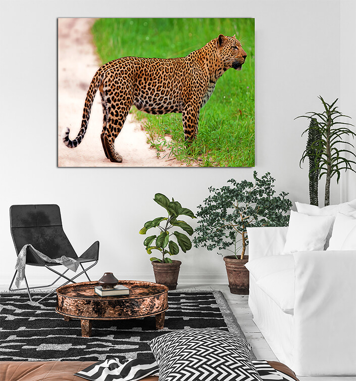 WEB002 0020 MS 0042 12723852 leopard in national park (Tanzania) ARTED AOAY6957