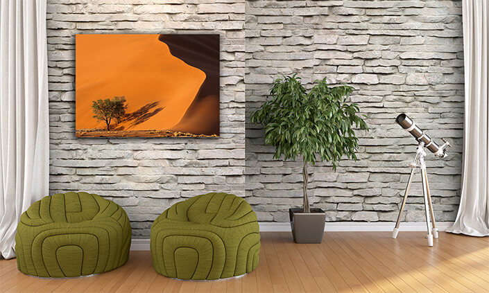 WEB003 0003 ML 0034 39178062 sand dune and trees namib desert AOAY4730