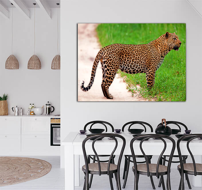 WEB003 0020 MS 0042 12723852 leopard in national park (Tanzania) ARTED AOAY6957