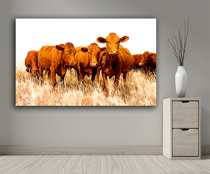 WEB004 0002 ML 0035 39174928 free range cattle on rural farm AOAY8166