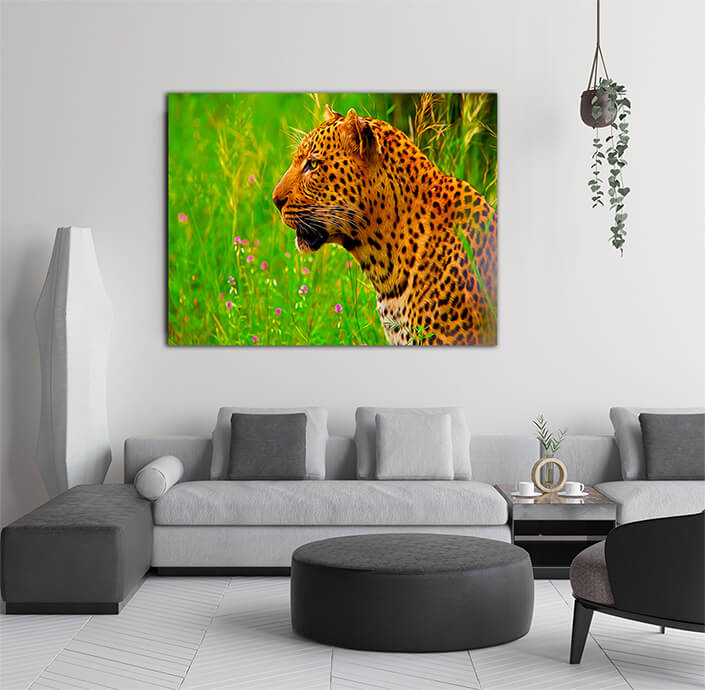 WEB004_0022_MS_0040_12723924_leopard in Tanzania national park ARTED AOAY6959