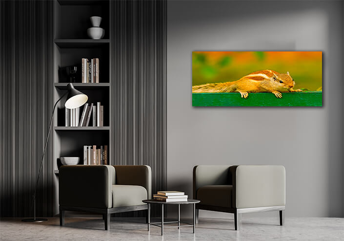 WEB005 0011 ML 0023 45100784 alert northern palm squirrel AOAY4752 AOAY4751