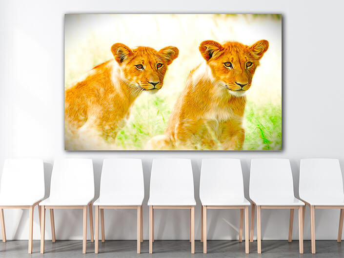 WEB005_0028_ML_0002_43934684_beautiful Lions in kalahari wildlife Art AOAY8162