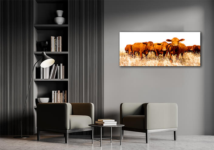 WEB005 0044 ML 0035 39174928 free range cattle on rural farm AOAY8166