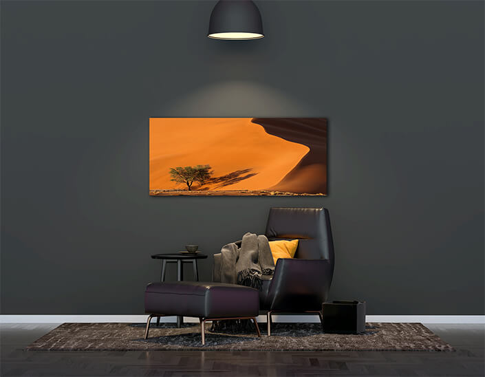 WEB006 0009 ML 0034 39178062 sand dune and trees namib desert AOAY4730