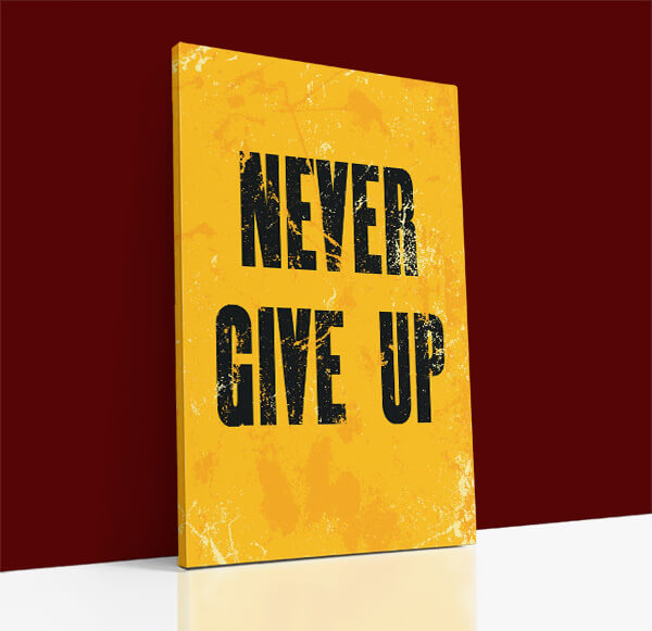 32762936 NEVER GIVE UP AOAY8472 (2)