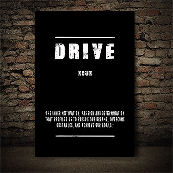 EBAY01__0009_DRIVE (THE INNER MOTIVATION, PASSION AND DETERMINATION THAT PROFILES US TO) AOAY9135