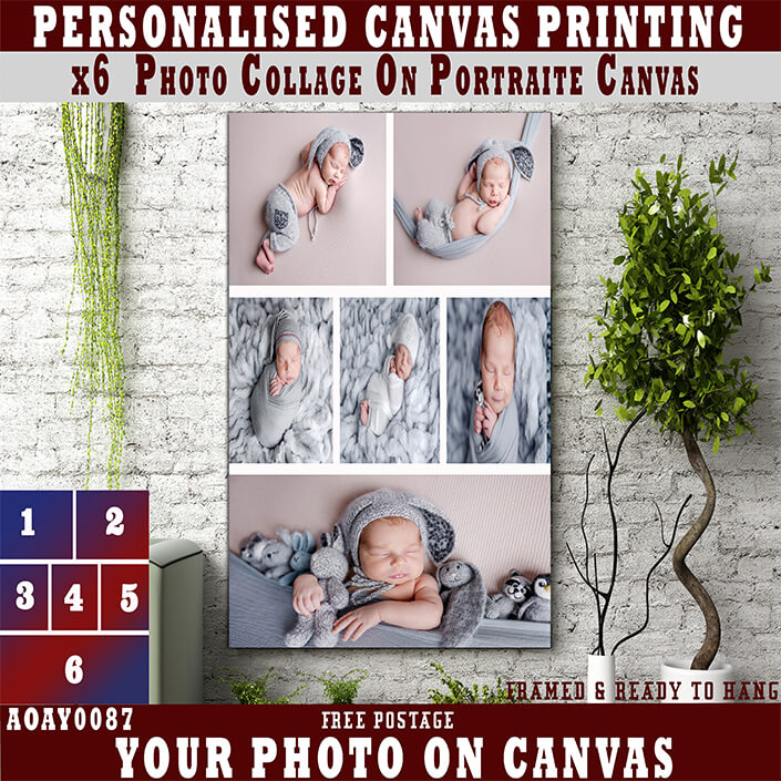 2. 0003 ZX39 Temp Portraite COLLAGE (6) AOAY0087