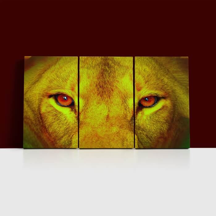 QQ 27965766 female lion eyes close up arted AOA14295