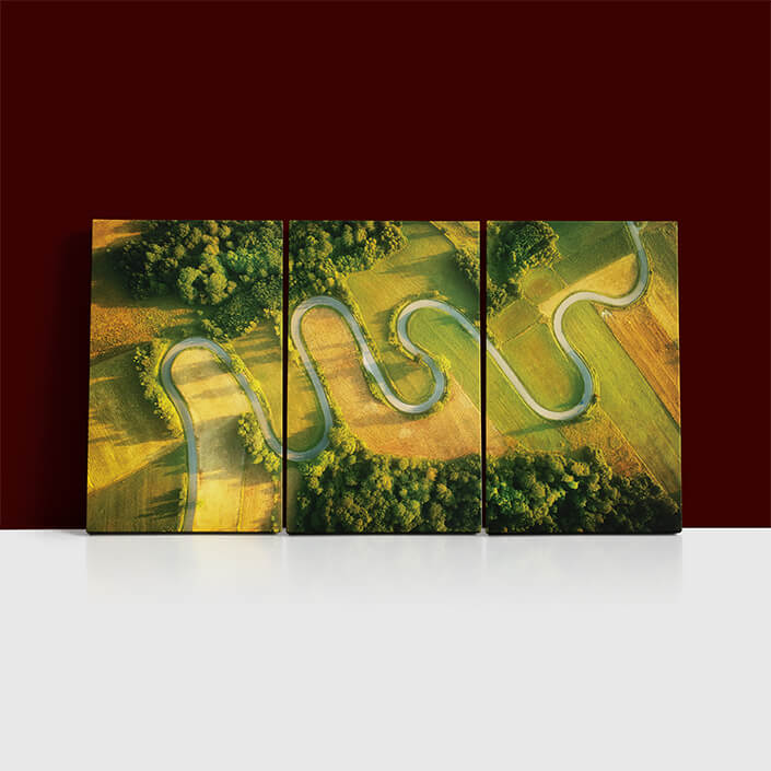 Q 0010 WW 279716079 windy road in the summer aerial view AOA13010