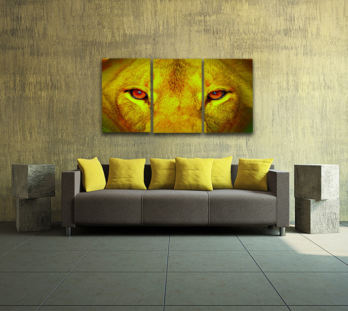 W5 27965766 female lion eyes close up arted AOA14295
