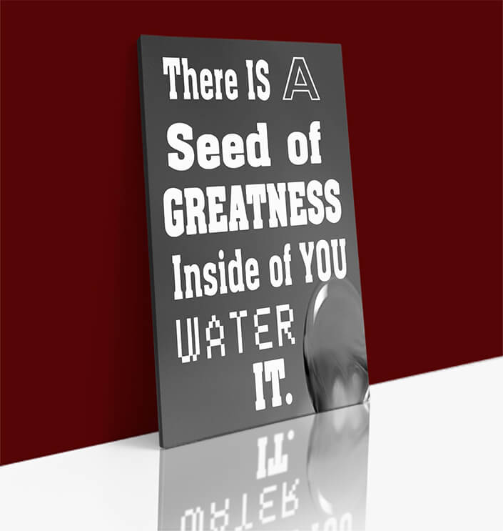 WEB 0017 N THERE IS A SEED OF GREATNESS IN SIDE YOU WATER IT.AOAY12387